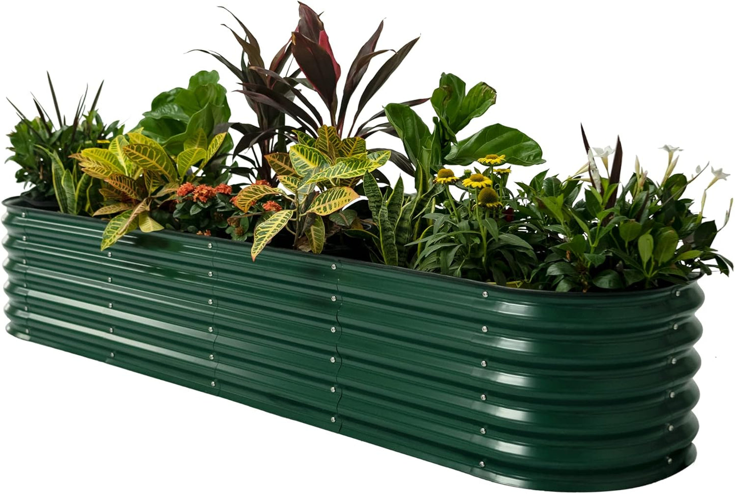 ✨Outdoor raised garden bed kit for vegetables and flowers, 17-inch high, 8-foot x 2-foot metal raised flower bed