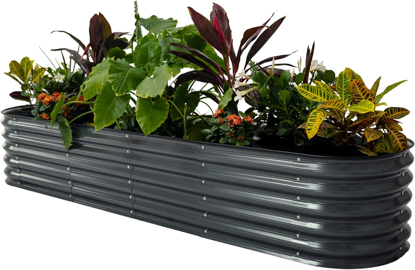 ✨Outdoor raised garden bed kit for vegetables and flowers, 17-inch high, 8-foot x 2-foot metal raised flower bed
